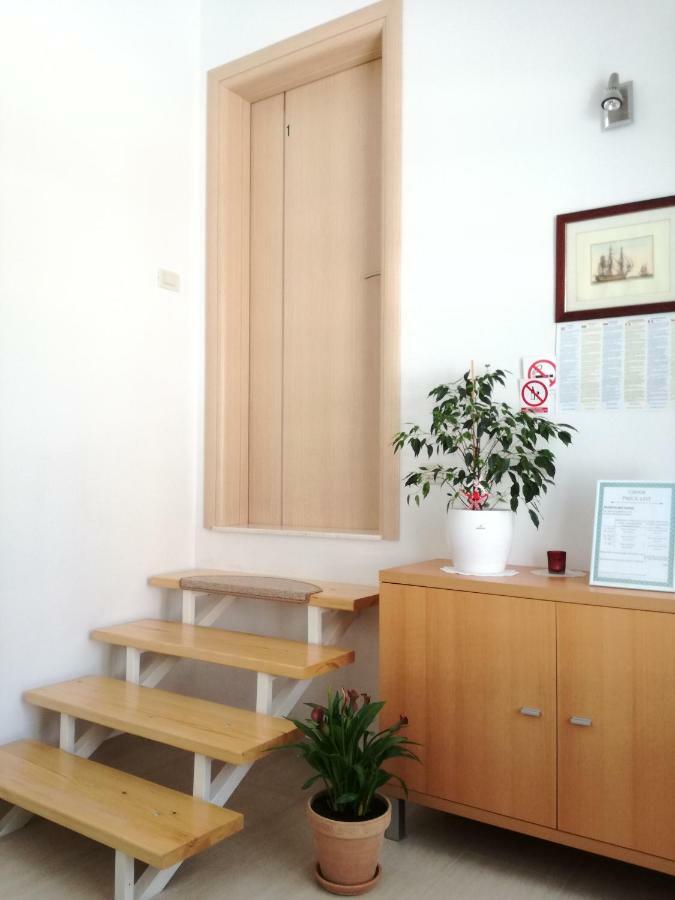 Apartments Sanja 特罗吉尔 外观 照片